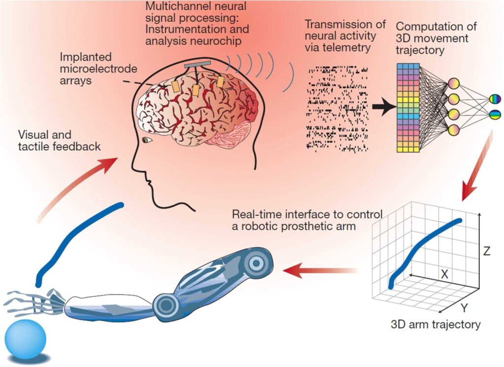 neurological enhancement